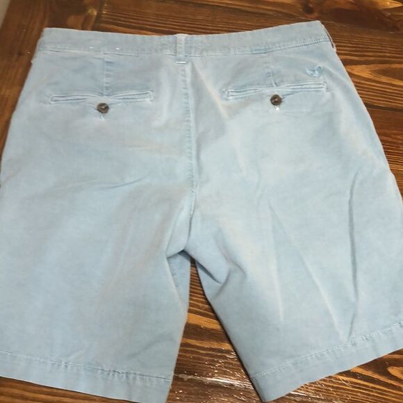 American Eagle Outfitters Light Blue Extreme Flex Slim Mens Shorts - Picture 2 of 7